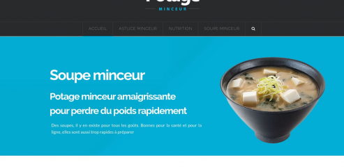 https://www.potage-minceur.fr